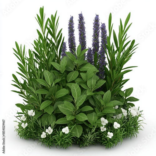 Lush Green Foliage Featuring Lavender Blooms and Delicate White Flowers Overhead Shot