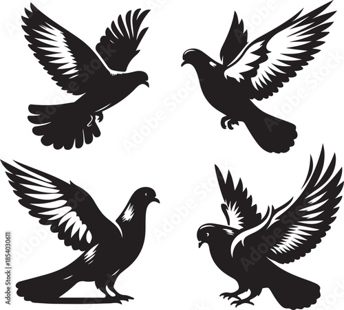 Pigeon icon silhouette vector with white background