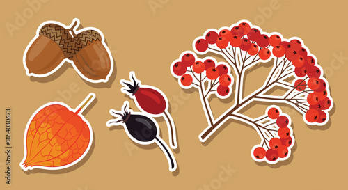 Autumn nature stickers showing a cluster of red rowan berries acorns dark rose hips and an orange physalis fruit on a tan base.