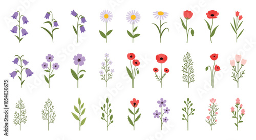 Large collection of diverse wildflower and garden plant illustrations including poppies daisies and bells in various vibrant colors.