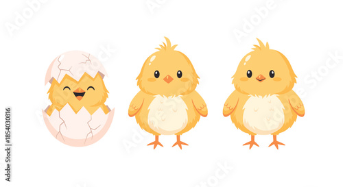 Set of cute yellow baby chicks featuring one newly hatched from a white eggshell and two standing side by side.