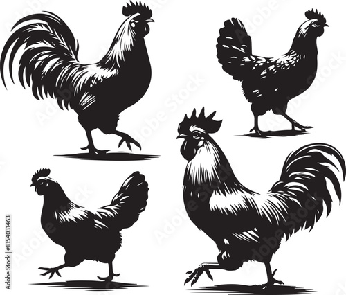 Hen Icon Silhouette Vector In White Background 
