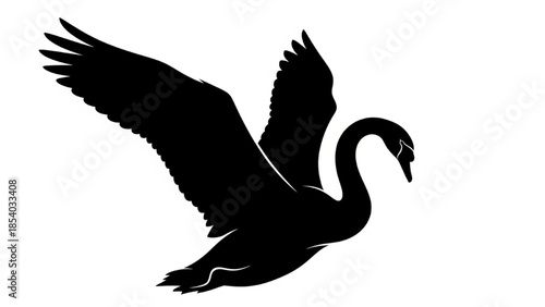 Black Swan Silhouette Vector Showing Floating Wings Lift Flying and Neck Curved Heart-Shape
