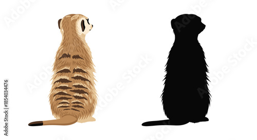 Meerkat illustration showing both a colored version and a black silhouette