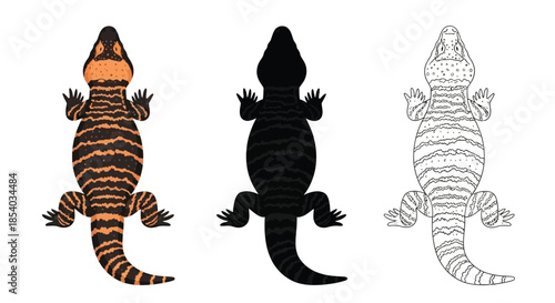 Three alligator illustrations depicting color variations and design styles