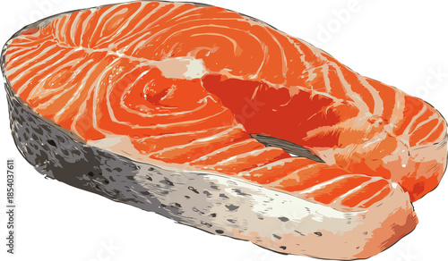 Raw salmon steak slice with skin on white background in realistic graphic style on transparent background
