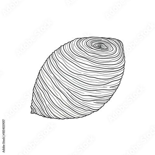Detailed ink sketch of a wasp nest, isolated on a white background