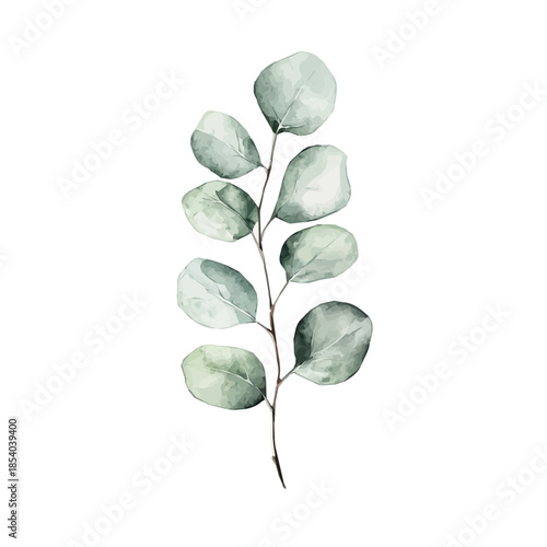 A vectorized, Hand-painted style, vector set available in EPS An Elegant watercolor painting design collection_Watercolor_style_painting_of_a_eucalyptus_leaf