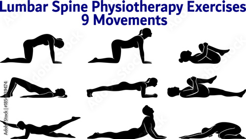 Lumbar Spine Physiotherapy Exercises 9 Movements Black and White Minimal Anatomy Stretch Concept