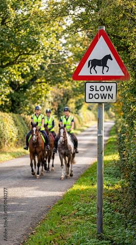 Horse Crossing Warning Sign with “Slow Down” Message on Rural Country Road