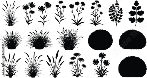 Plant silhouette, flower sketch, grass shape, botanical vector, wildflower icon, shrub design, nature clipart, black foliage, flat illustration