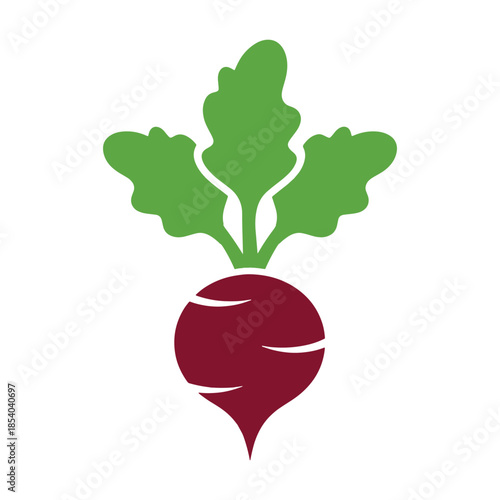 Red beet with green leafy isolated on white background vegetable