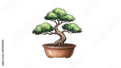 Small bonsai tree in a traditional round terracotta pot with detailed twisted trunk and lush green foliage.
