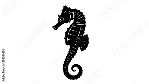 Black Seahorse Silhouette Vector Showing Upright Curved Tail Diagonal Swim and Pair Link