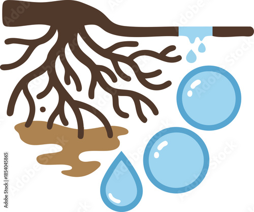 Root system and water illustration showing absorption concept.