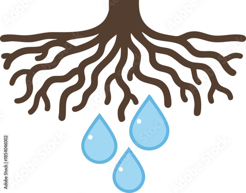 Roots and water drops illustration, irrigation concept.