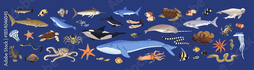 Wild animals of the ocean set. Sea life, underwater fauna, undersea wildlife. Different seabed creatures: fish, dolphin, shark, turtle, whale, narwhal, squid. Flat isolated vector illustrations.