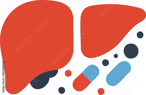 Stylized human liver illustration with pills and dots on white.