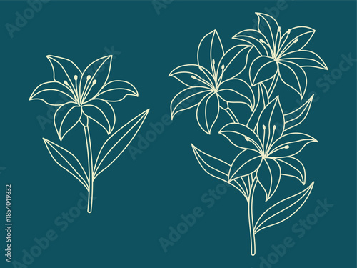 Lily flower outline drawing vector illustration element. expressing beauty, fragrance, fashionable and wellness.