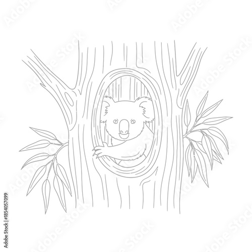 Delicate pencil illustration of a koala nestled in a tree hollow den