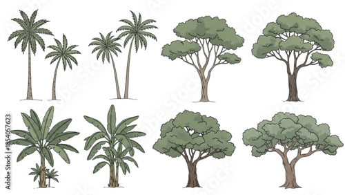 Collection of various tropical trees and palm trees illustrated in a digital artwork