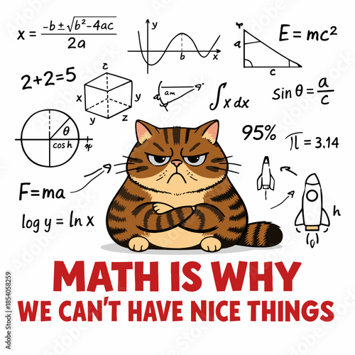 A meme in the form of an illustration with a dissatisfied cat. Various mathematical and physical formulas, graphs, and diagrams are scattered around him.