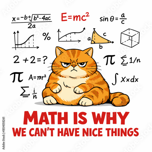 A cool math meme with an angry ginger cat! A fat orange cat with a dissatisfied expression sits in the middle of a pile of mathematical symbols and formulas.