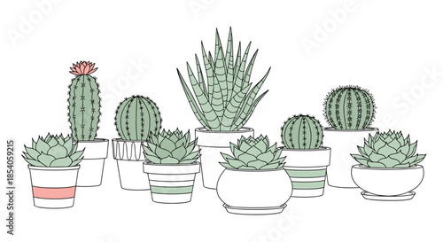 Row of various indoor succulents and cacti in different decorative pots including round and striped ceramic containers.