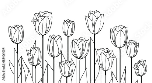Elegant black and white line art illustration of a field of blooming tulip flowers against a clean and simple background.