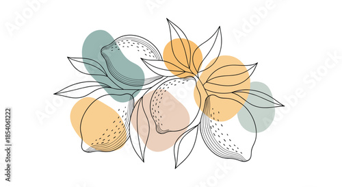 Artistic illustration of a lemon branch with leaves featuring clean line art and overlapping abstract colored shapes.