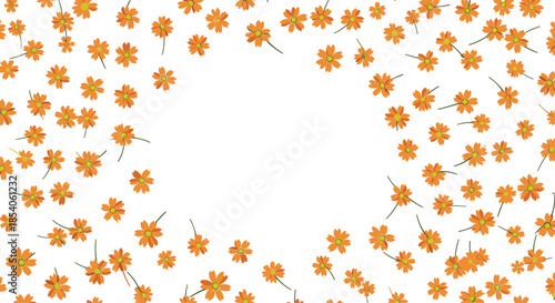 Delicate border made of small orange cosmos flowers with green stems surrounding a central white empty space for custom text.