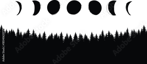 Minimal moon phases illustration above pine forest silhouette night sky celestial cycle vector background design for nature astronomy landscape art
