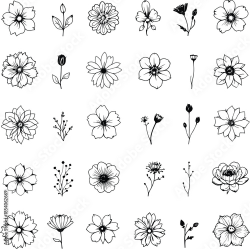 Floral Serenity: a collection of intricate line drawings of various flowers and botanical elements, bringing a sense of delicate artistry and natural beauty