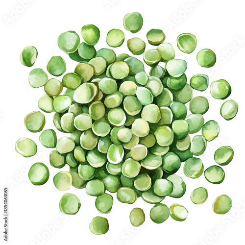 A Watercolor design, with minimal yet artistic elements for creative designs. hand-drawn paint, A beautiful painting of split peas set, EPS format, isolated on a white background