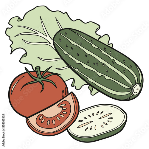 Fresh Tomato  Cucumber  Lettuce Composition  Minim