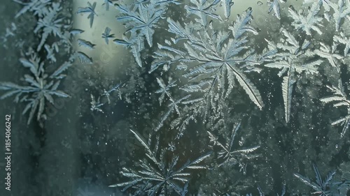 Intricate frost crystal patterns stretched across a chilled pane of glass in winter