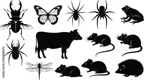 Animal and insect silhouettes collection, wildlife mammal amphibian arthropod shapes, black vector illustration set, isolated nature icons