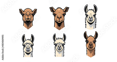 Collection of stylized camel and llama heads in a graphic illustration style