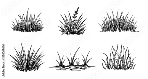 Collection of hand-drawn grass tufts in a simple black and white sketch style