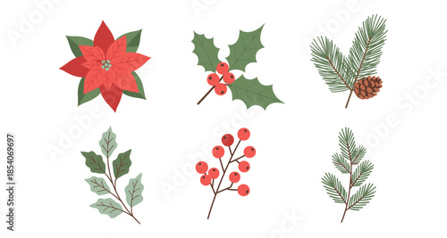 Collection of festive winter botanical elements including poinsettia, holly, and pine