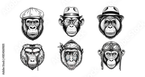 Six anthropomorphic ape portraits in vintage attire, black and white sketch style