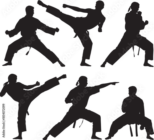 Martial arts silhouettes in various fighting stances and positions
