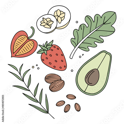 Healthy Raw Food Ingredients Collection  Minimal V