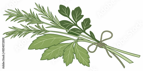Fresh Herbs And Greens Bundle  Minimal Vector  Whi (3)