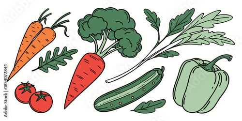 Organic Kitchen Vegetables Set  Vector Illustratio