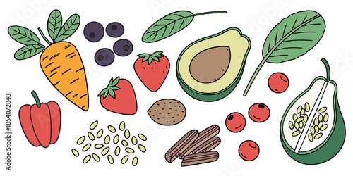 Healthy Vegan Food Ingredients  Flat Vector  White (2)