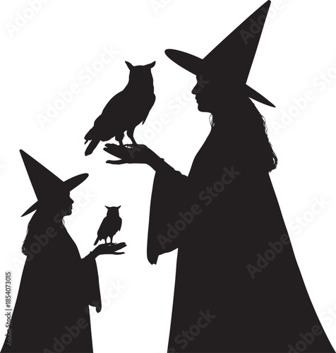 Two witches with owls on hands facing each other