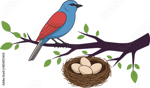 Bird on tree branch with nest and eggs vector illustration representing spring nature and wildlife concept