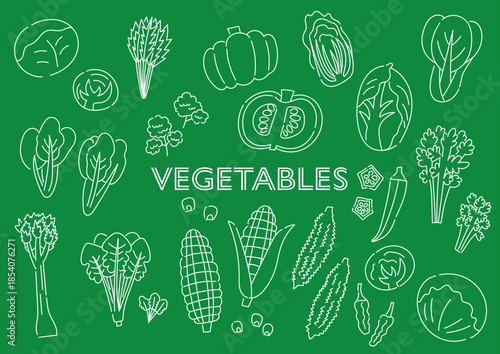 野菜の手描きイラストセット