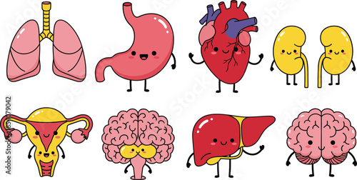 Cute human organs vector illustration set with smiling lungs, stomach, heart, kidneys, brain and liver cartoon characters